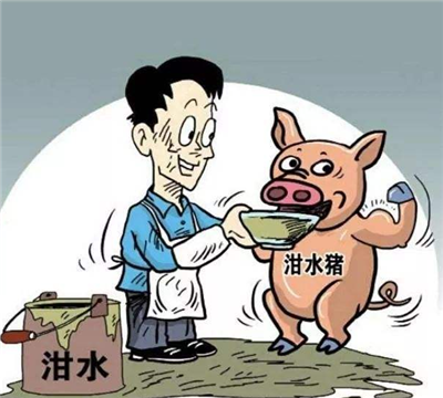 连云港开出首张"泔水养猪"罚单